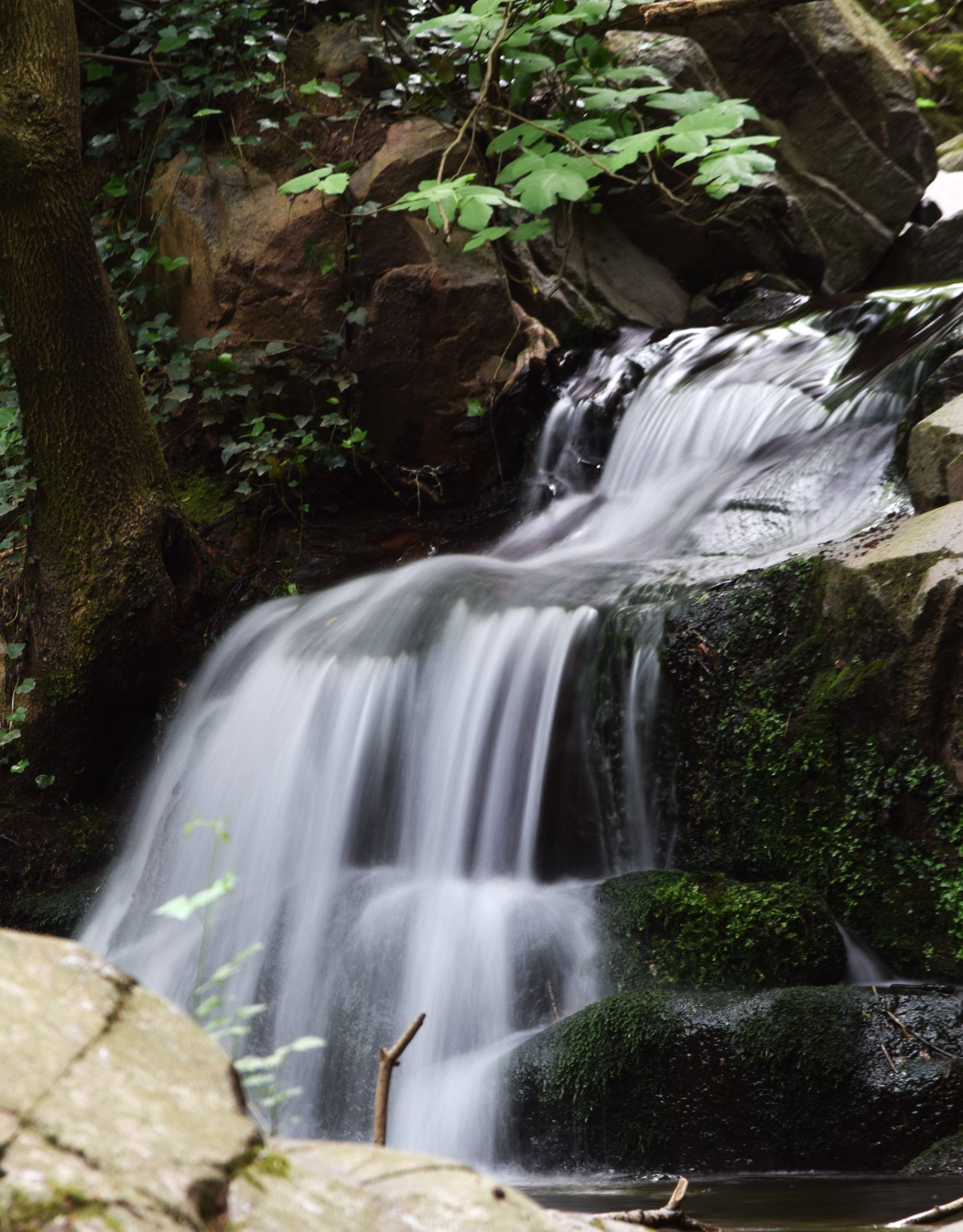 Copia de Aigua sedosa    (1)